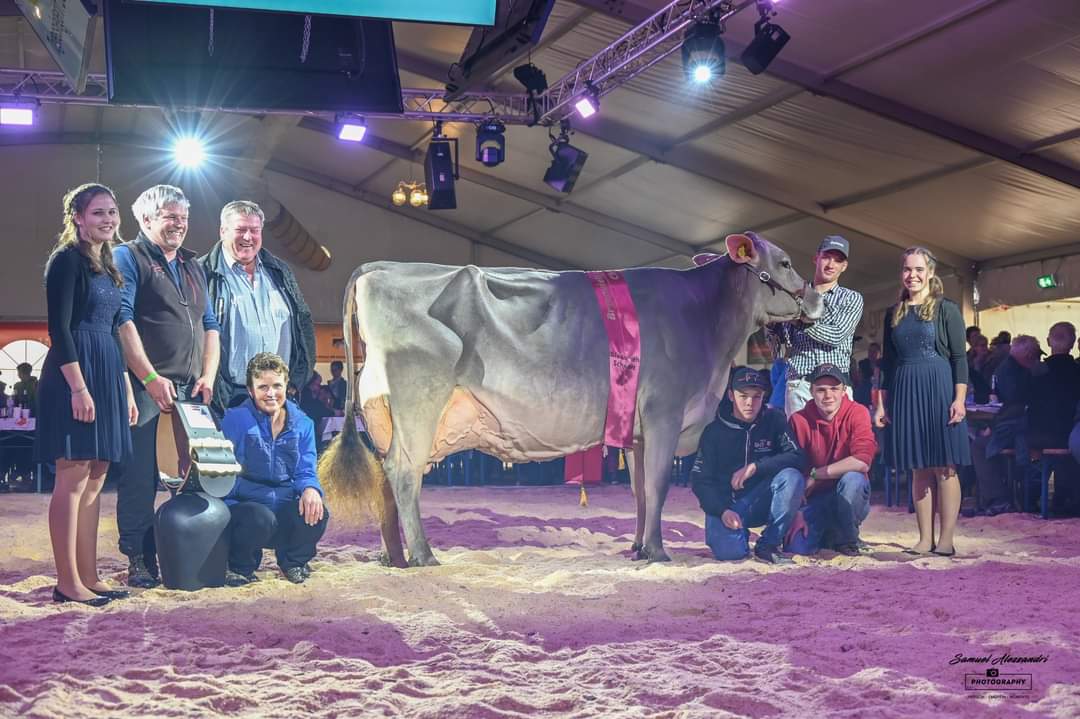 Braunvieh im Mittelpunkt 2024