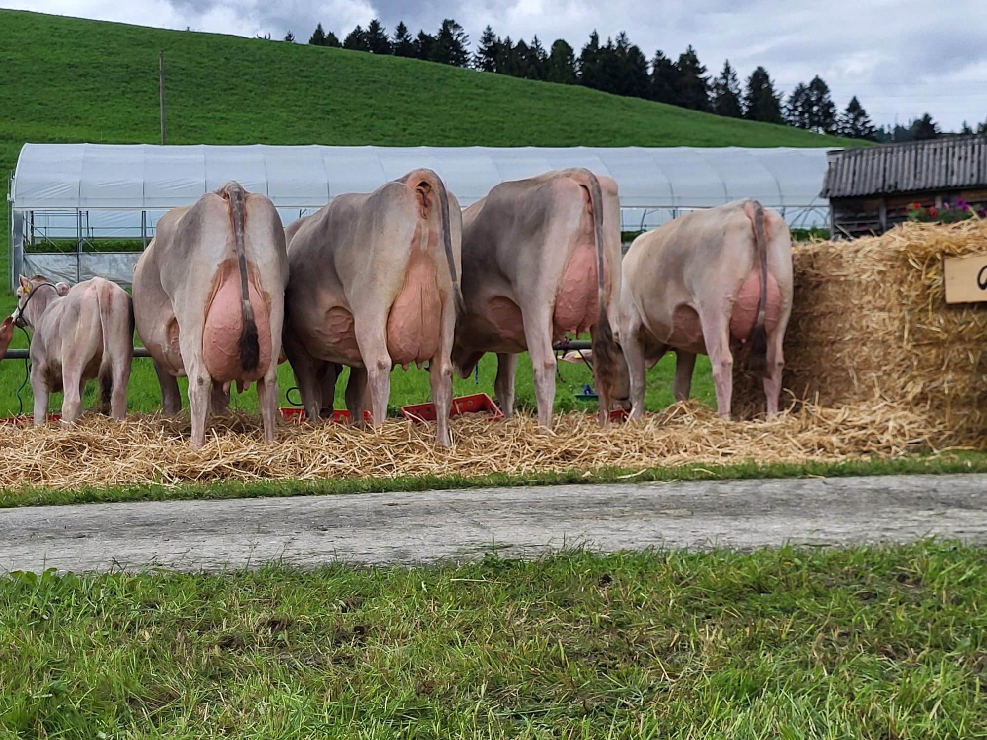 Fünf Generationen Exzellenz