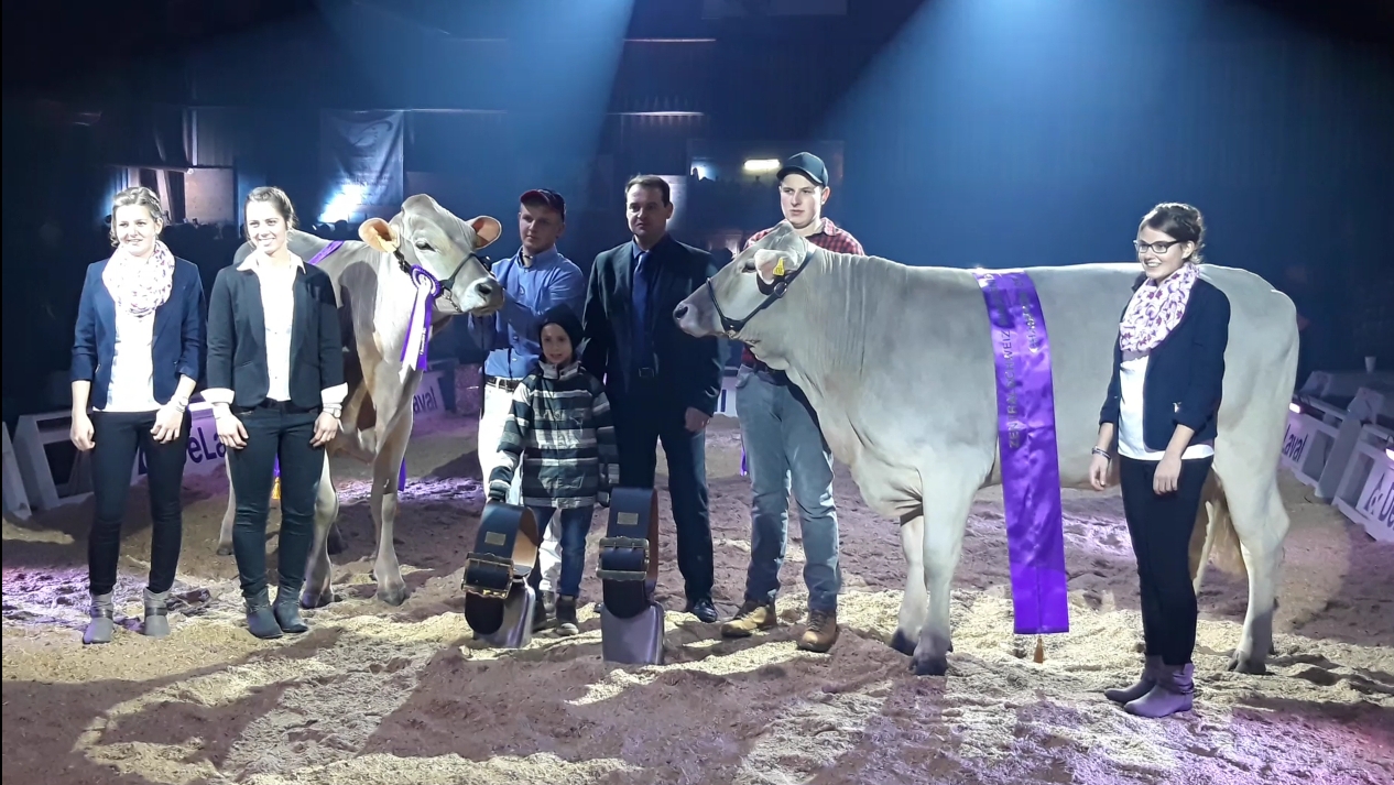 Zentralschweizer RinderNightShow Sarnen