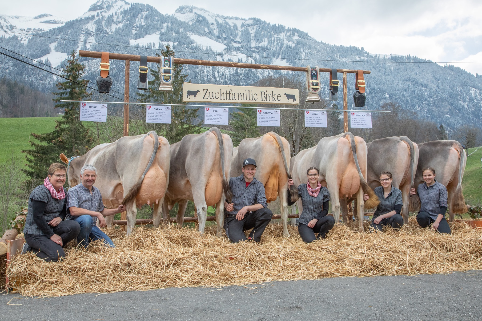 ZF Blooming BIRKE Waser Markus Kerns A92
