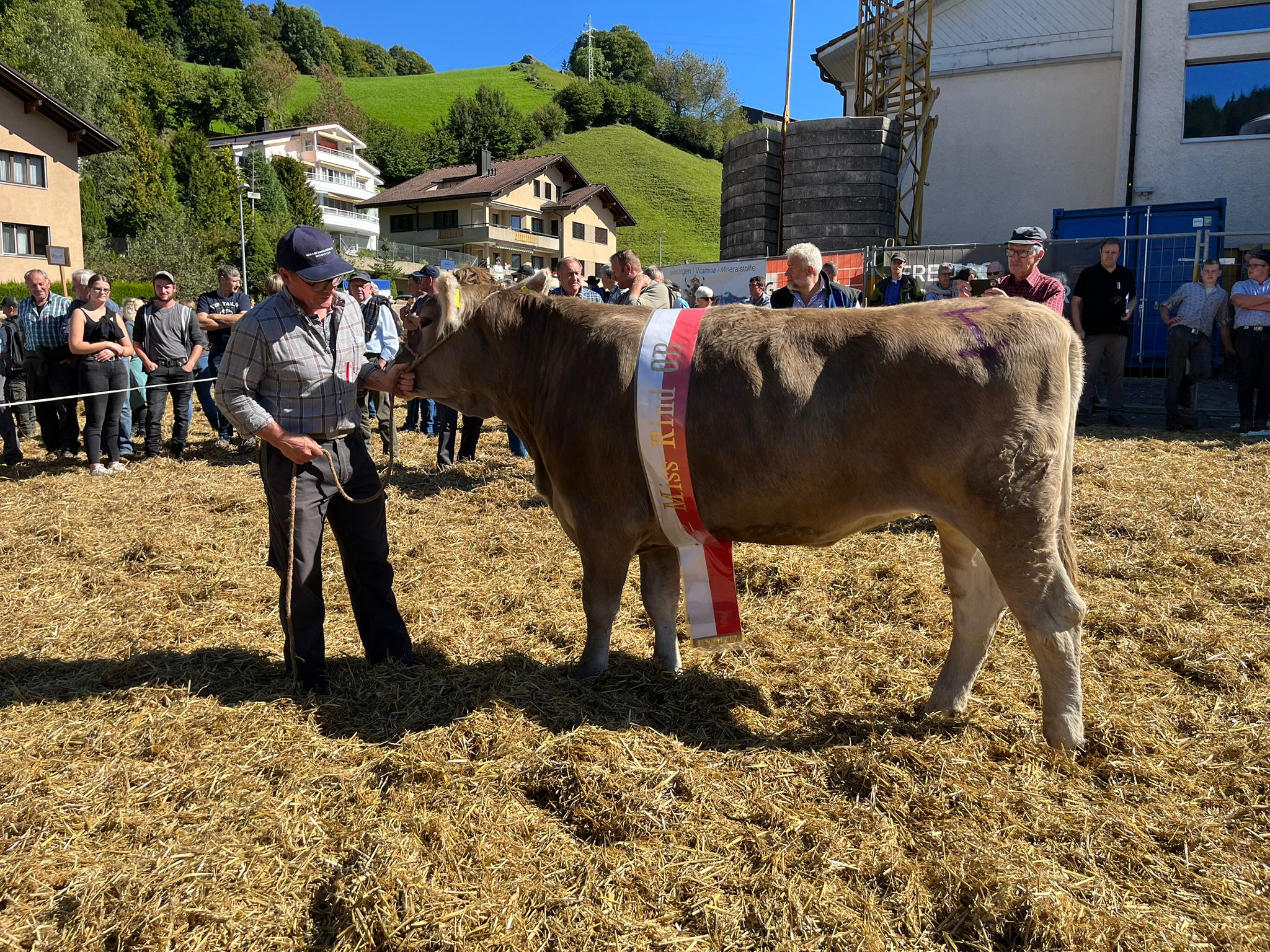 Impressionen der Viehschau Rothenthurm 2025