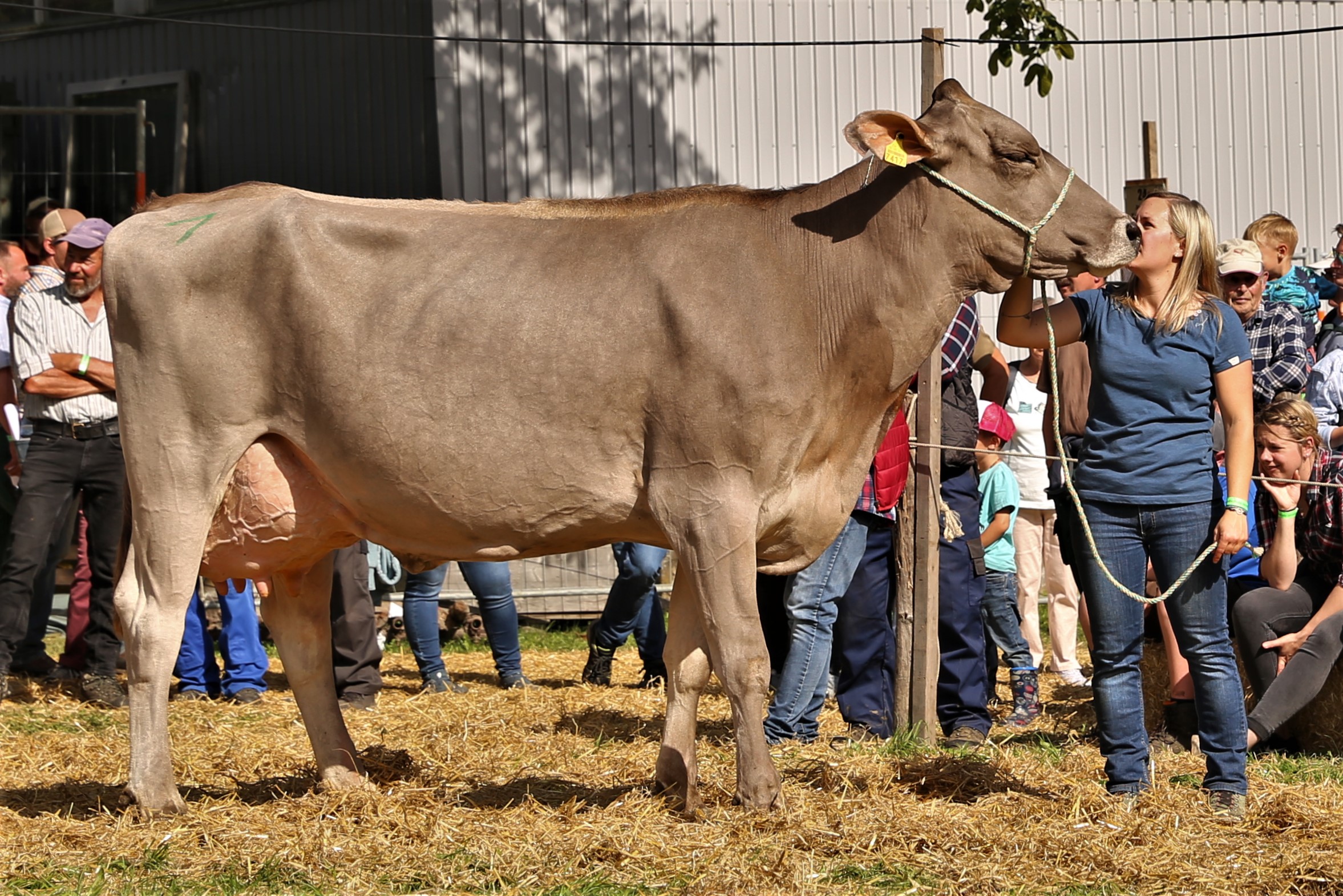211002 Urner Grossviehschau 242