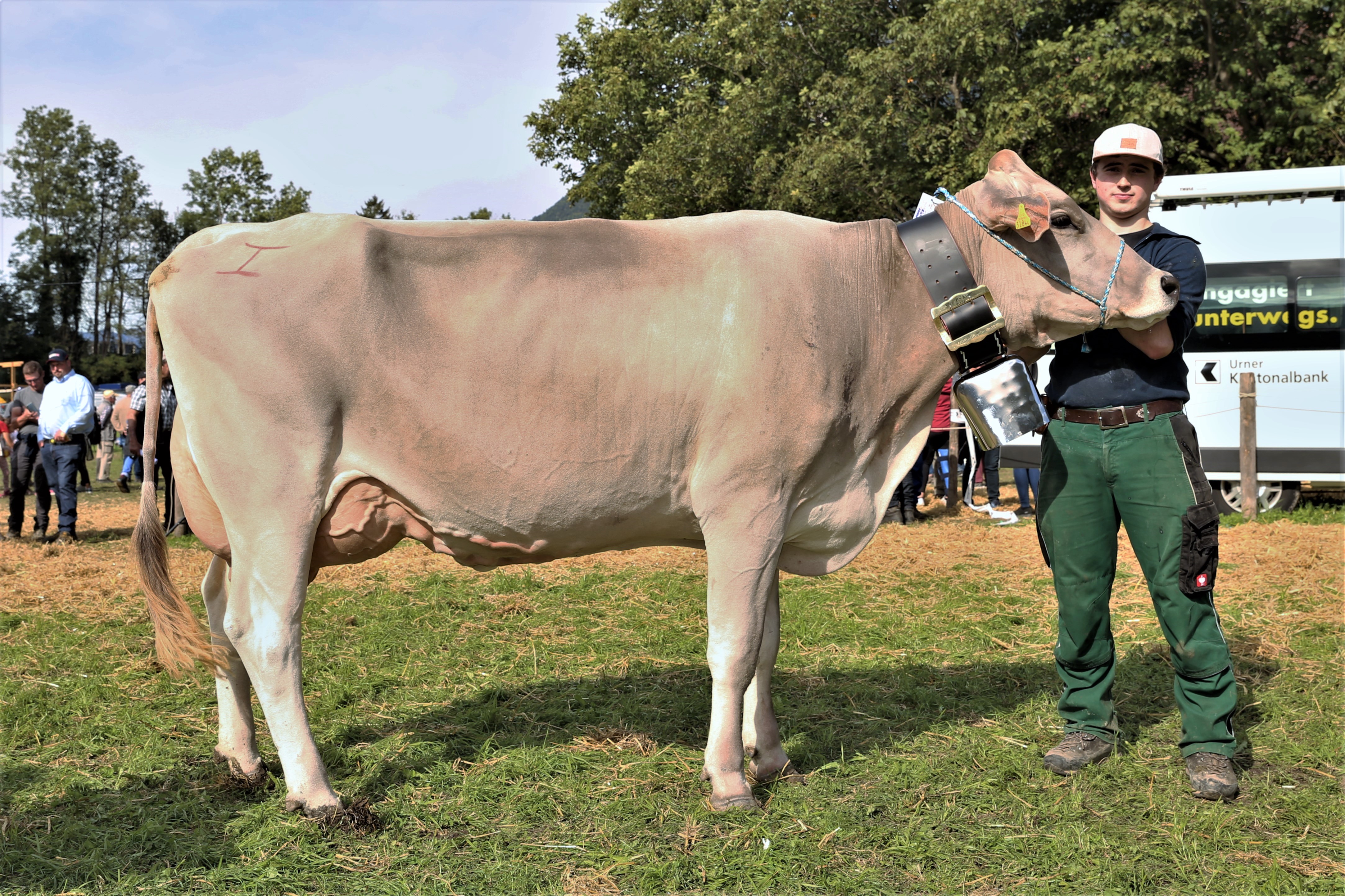 211002 Urner Grossviehschau 268