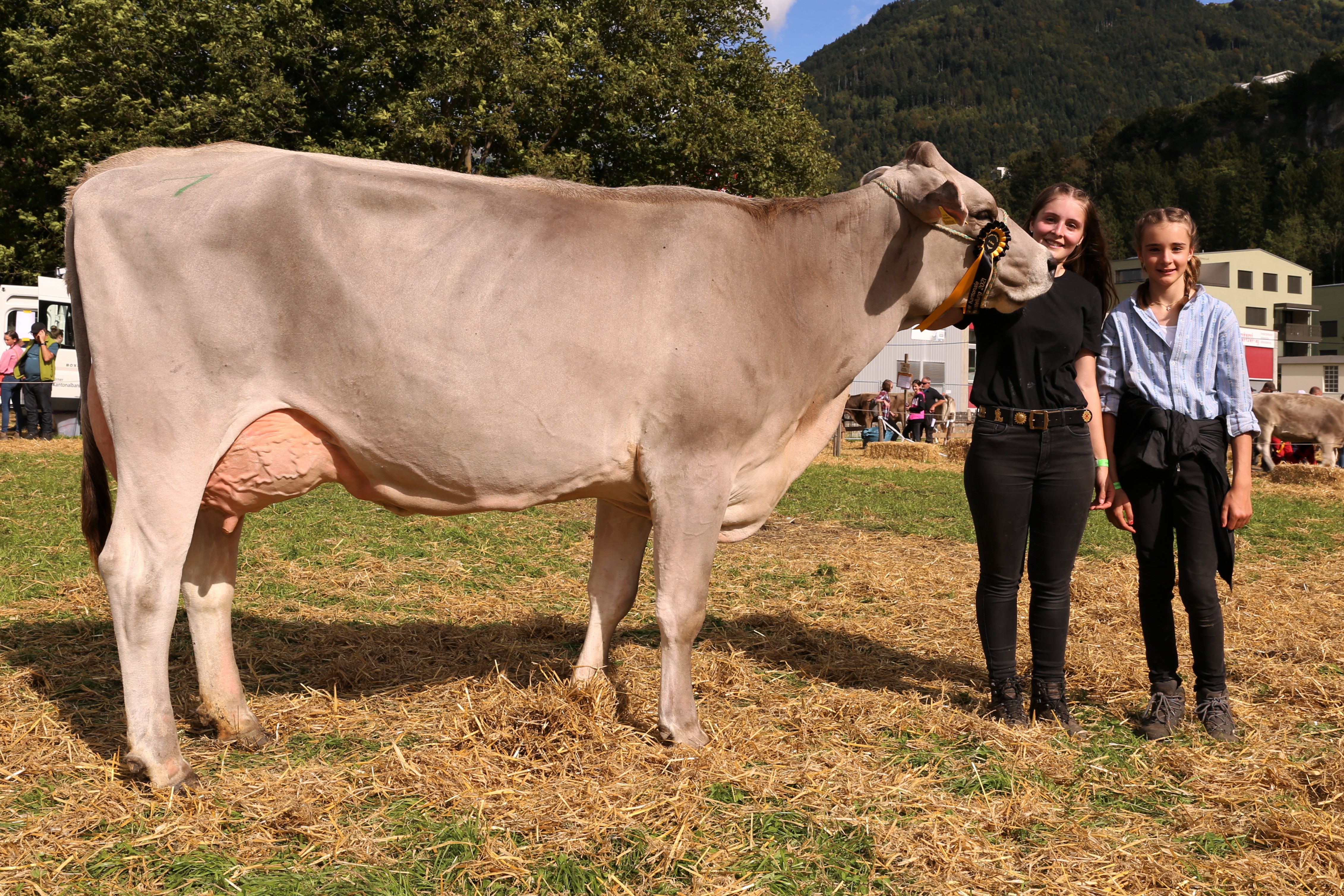 211002 Urner Grossviehschau 287