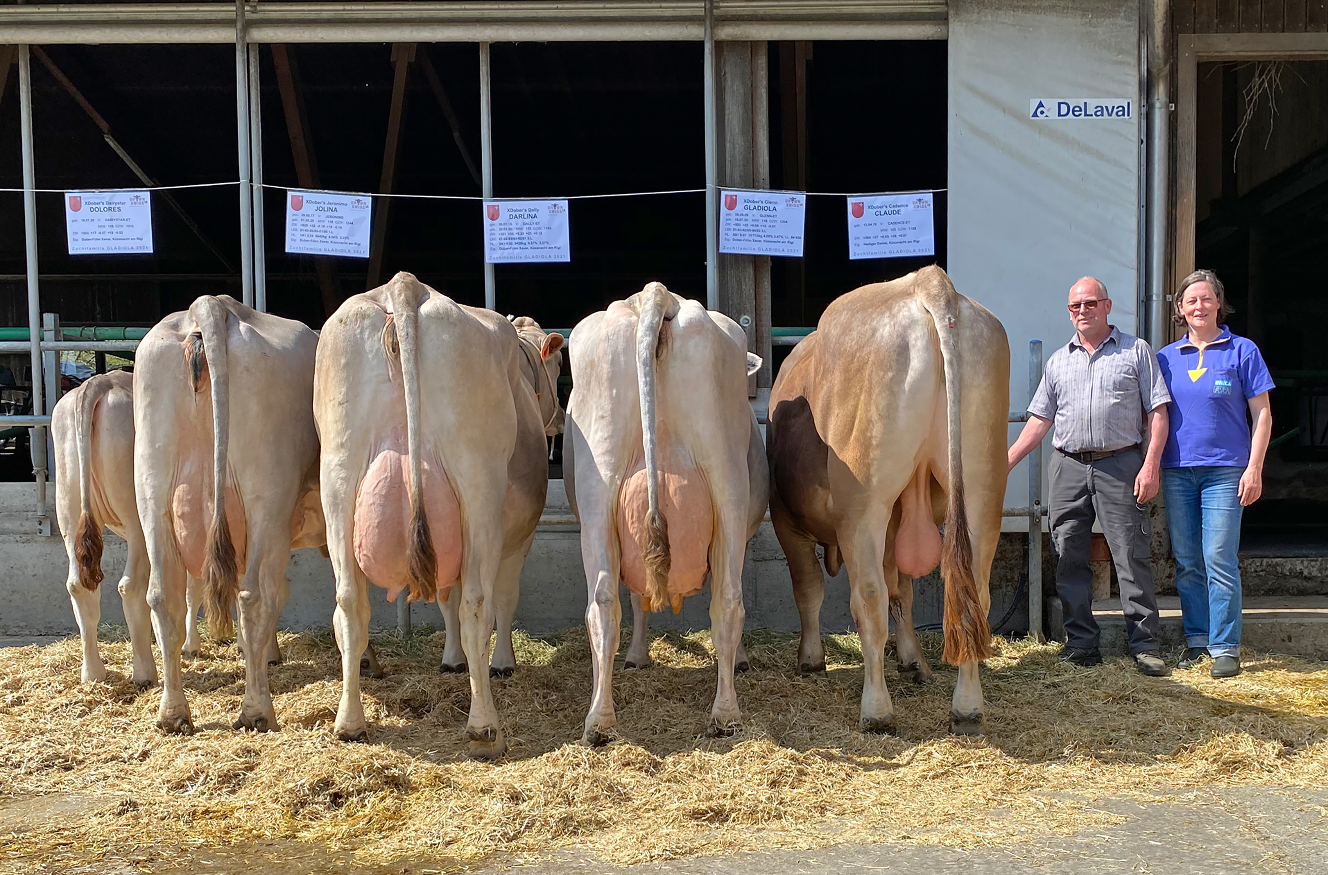 Zuchtfamilien Kt. Schwyz 