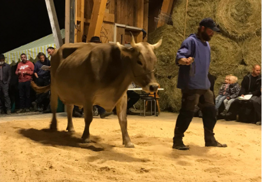 Auktionsbericht Morschach vom 10.09.2021