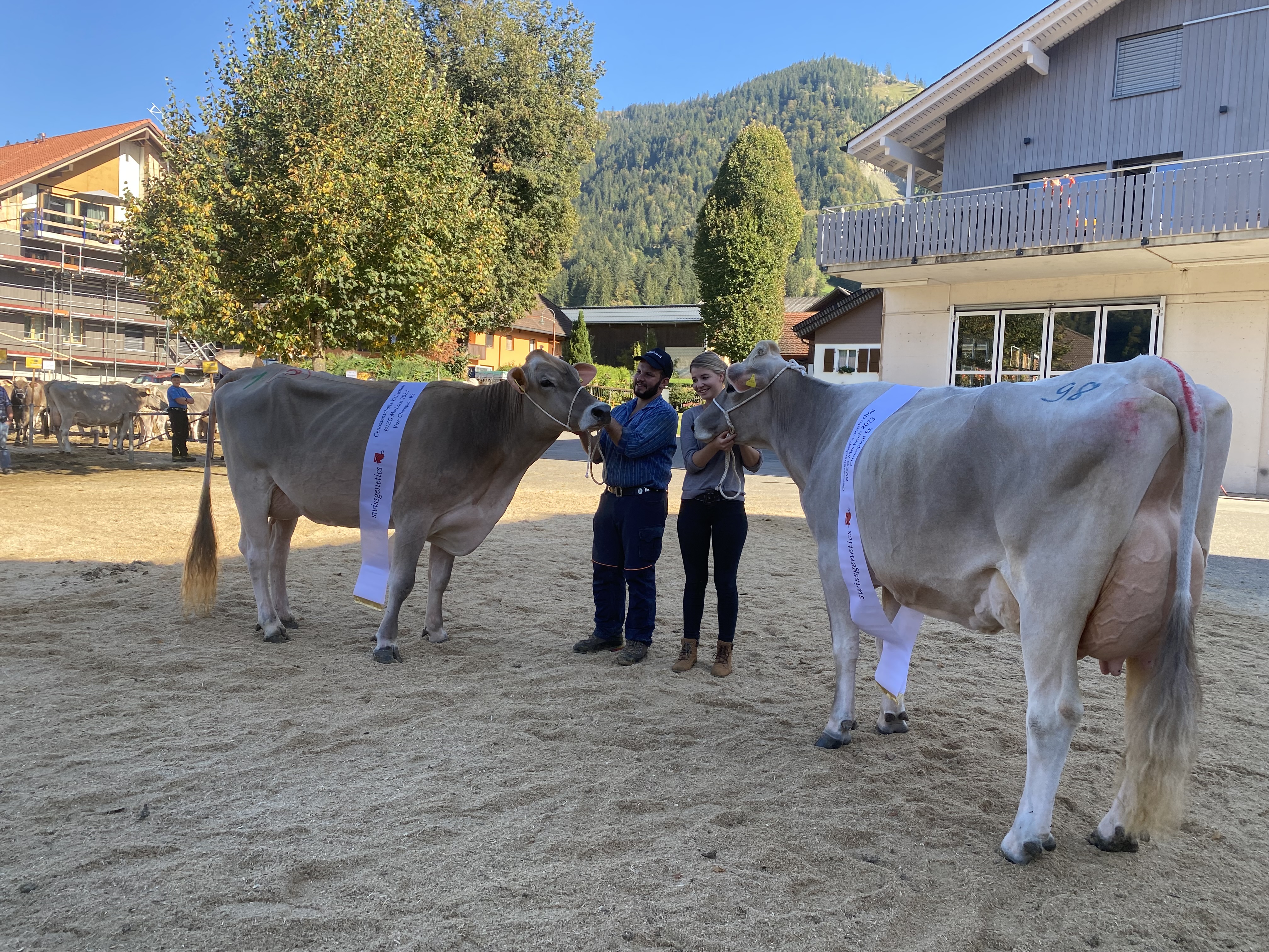 Viehschau BVZG Marbach 2023