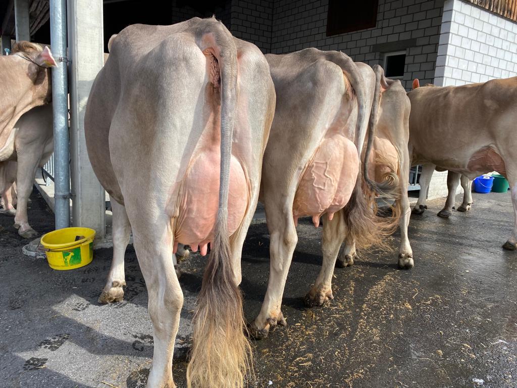 Blooming vita r und Tochter Norwin Vicky NW