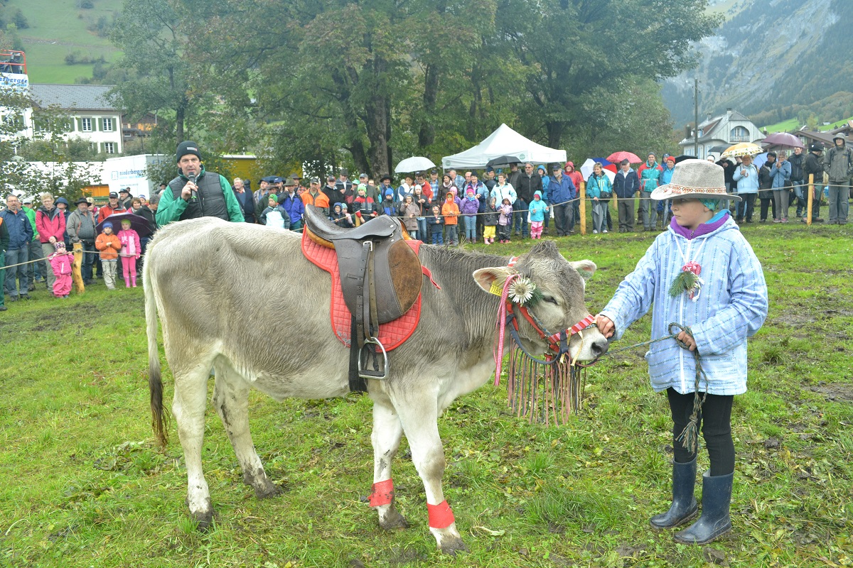 Eine Teilnehmerin am Kälber Wettbewerb