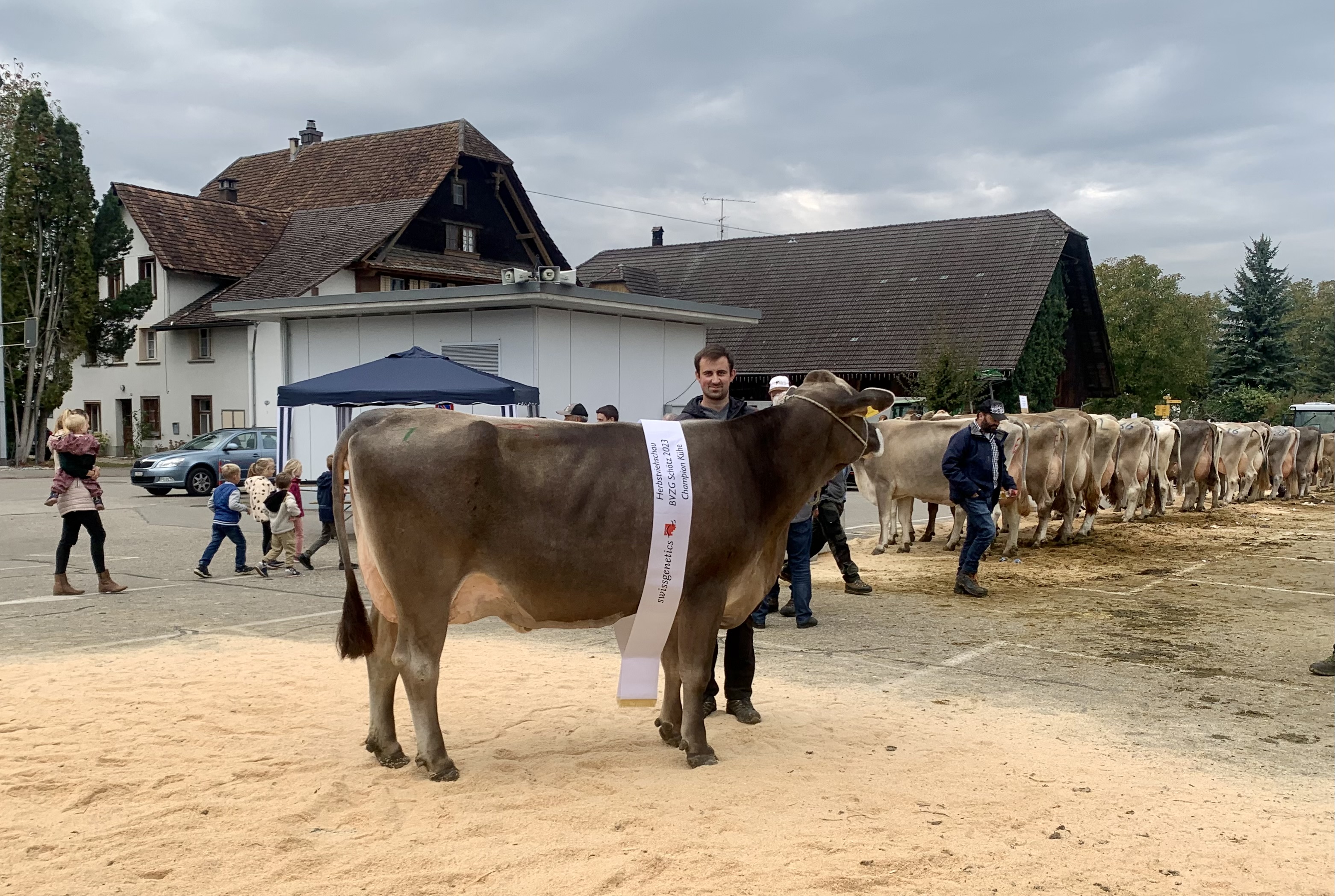Herbstviehschau BVZG Schötz 2023