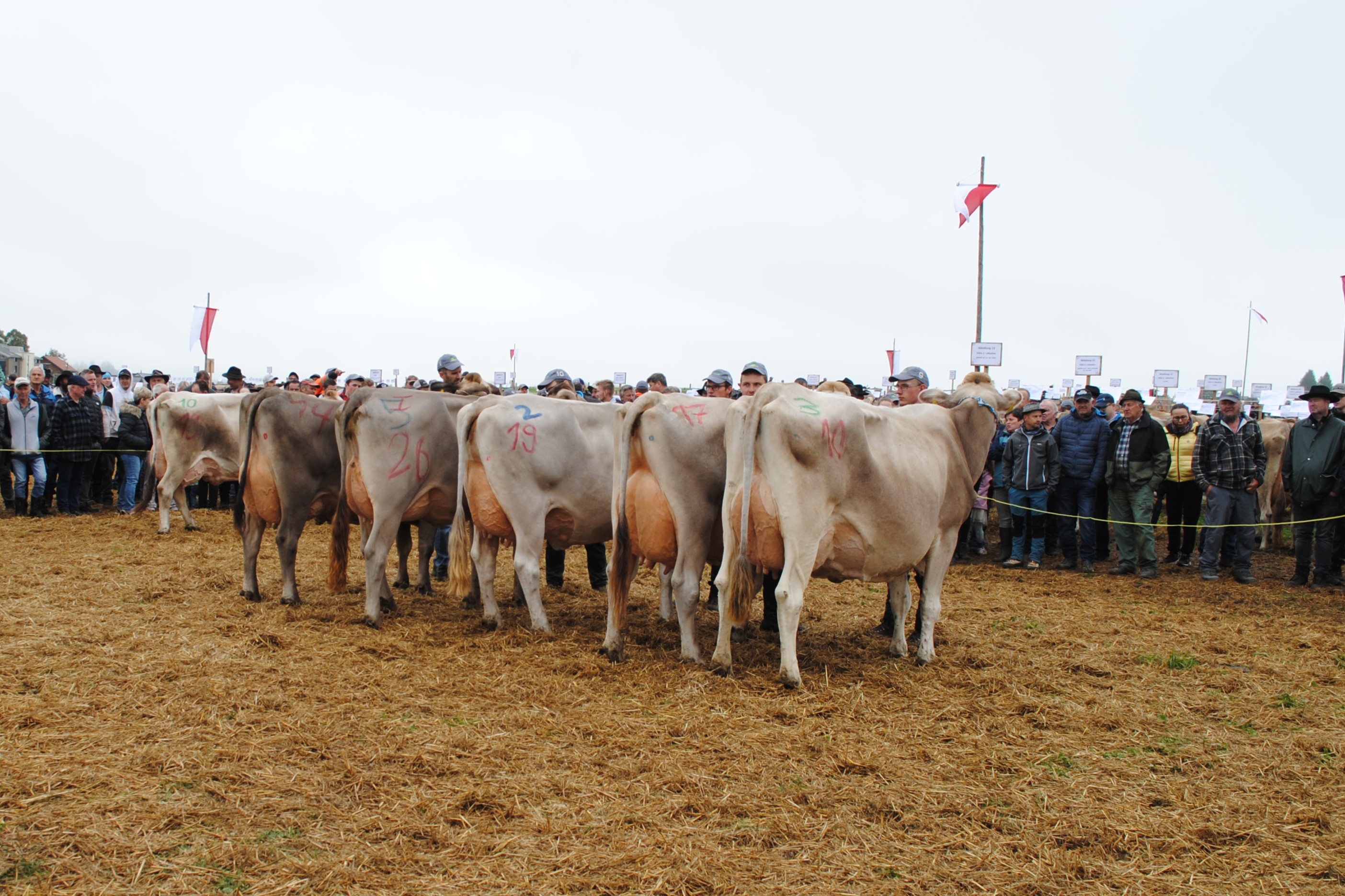 Impressionen der Viehschau Einsiedeln 2025