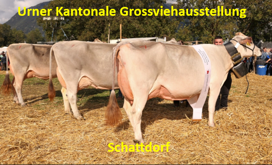 Urner Kantonalschau 2025