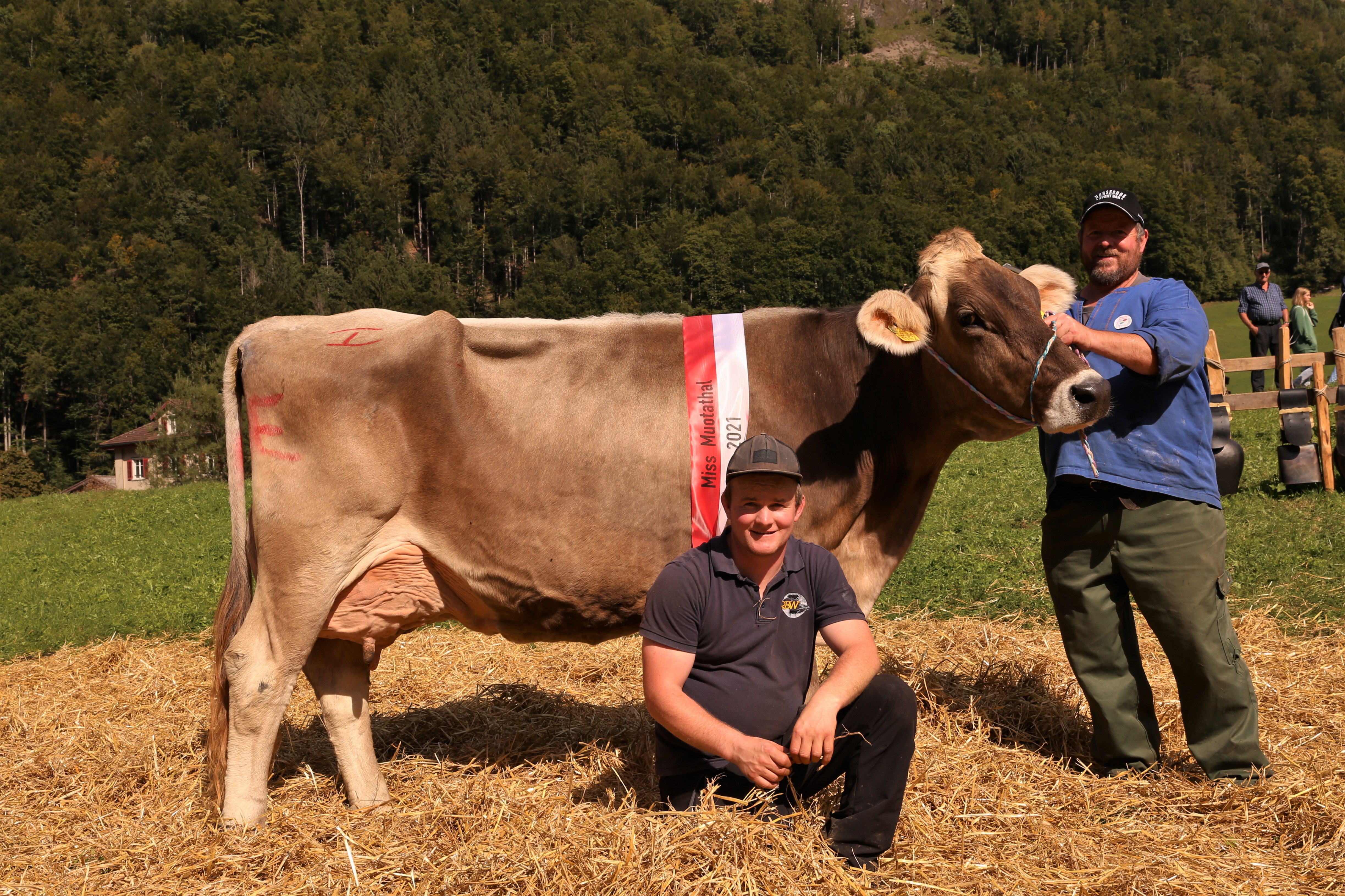 Viehausstellung Muotathal 23.09.2021