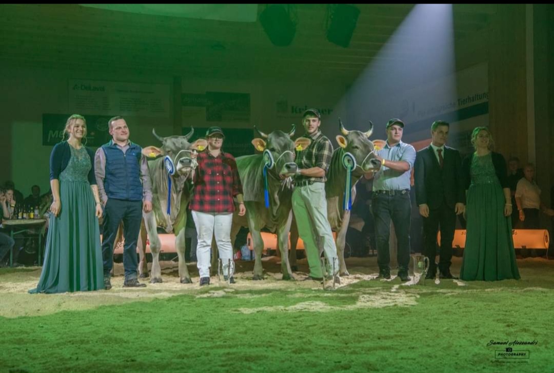 Luzerner Rinder Nightshow 2023