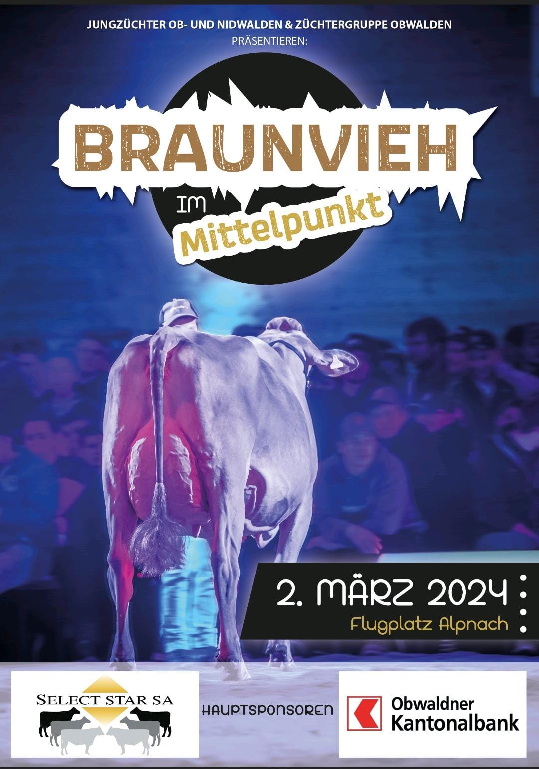 Braunvieh im Mittelpunkt 2024