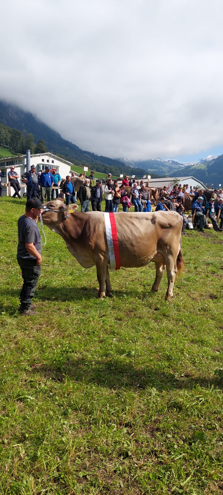 Viehschau Muotathal 2024