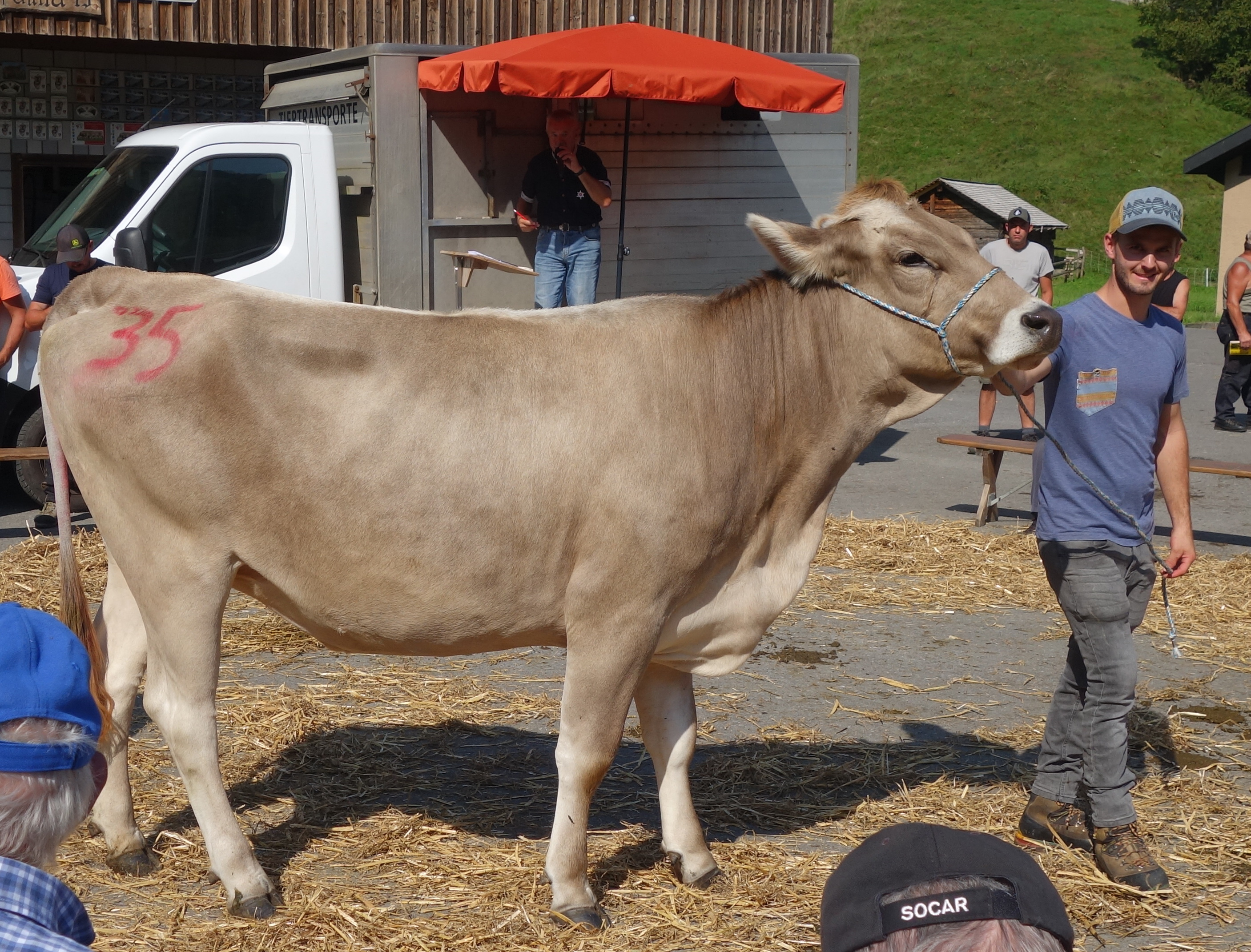 Auktion Giswil 30.08.2024