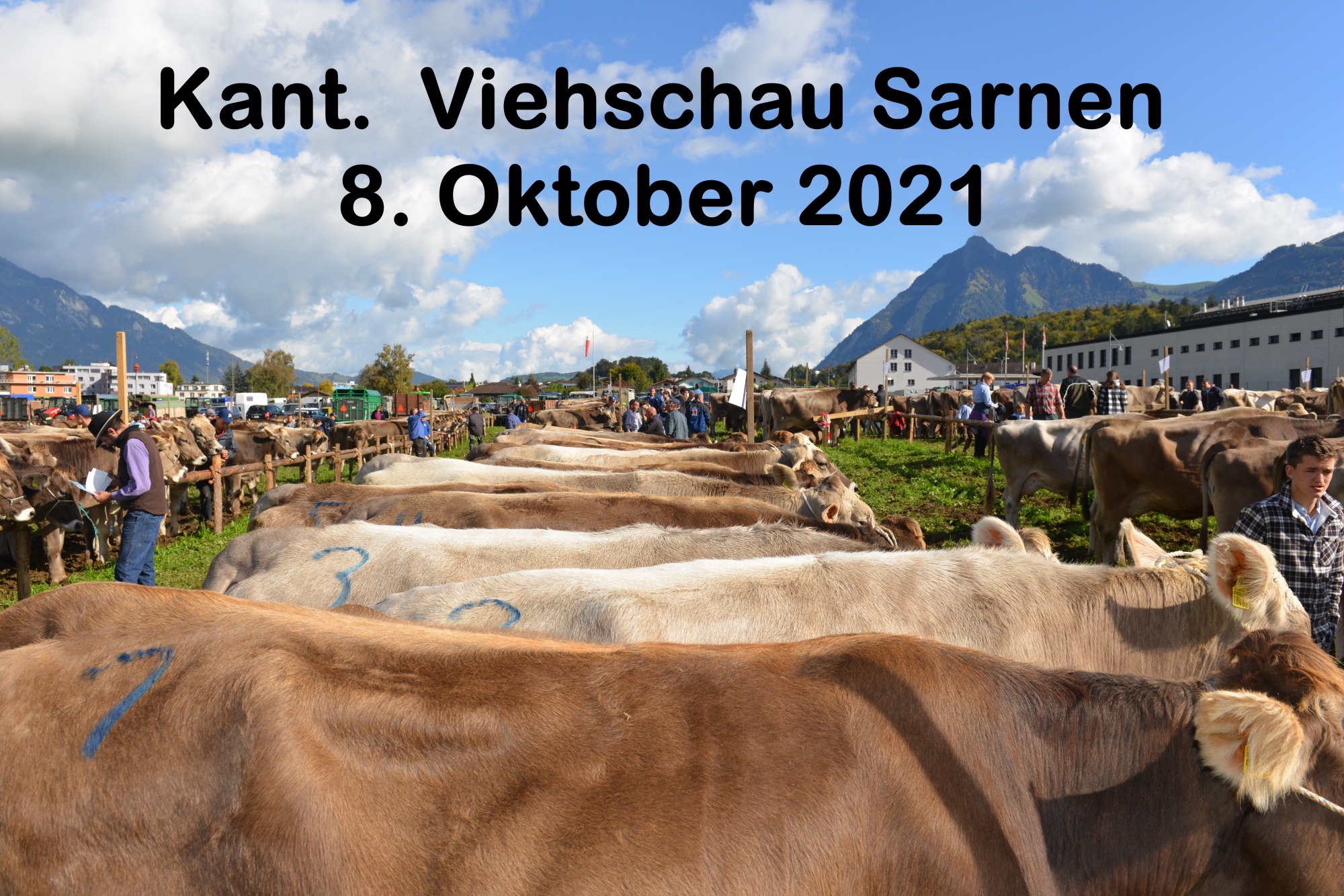 Kant. Viehschau Sarnen