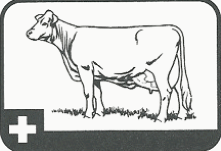 Logo VZG Neuenkirch