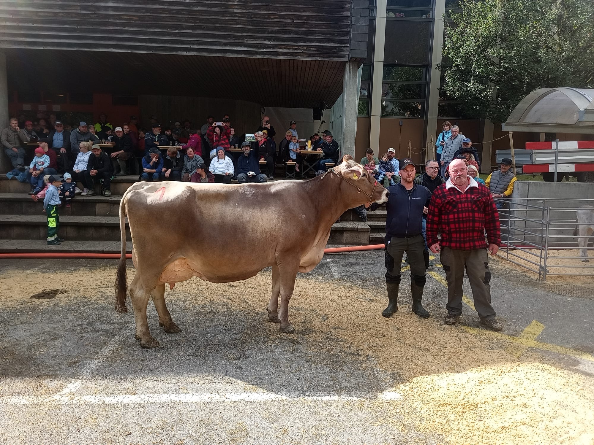 Viehausstellung Weggis 2025