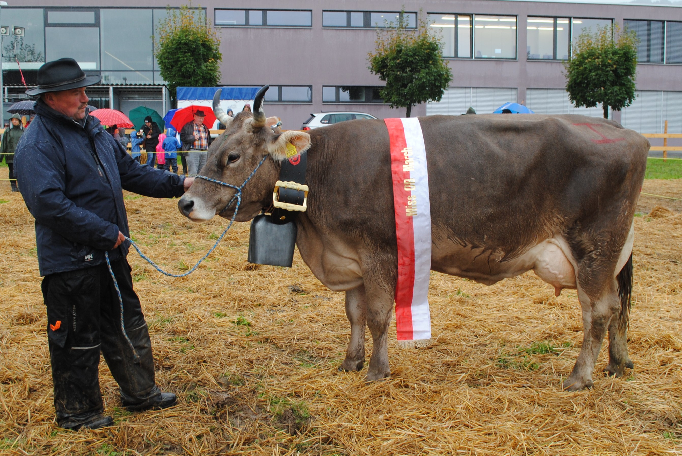 Bezirksviehschau March 28.09.2022
