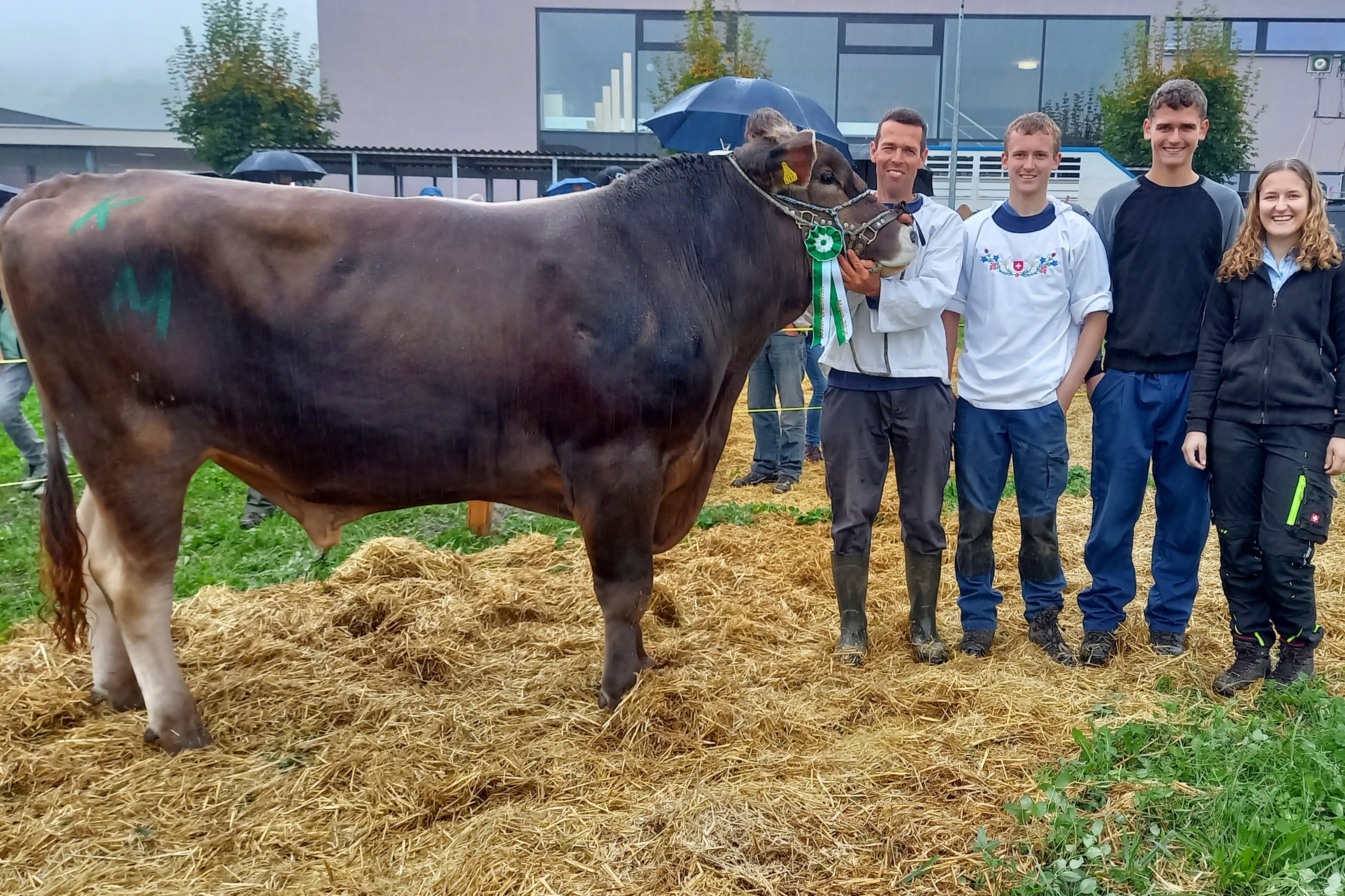 Das war die Bezirksviehschau March 2025