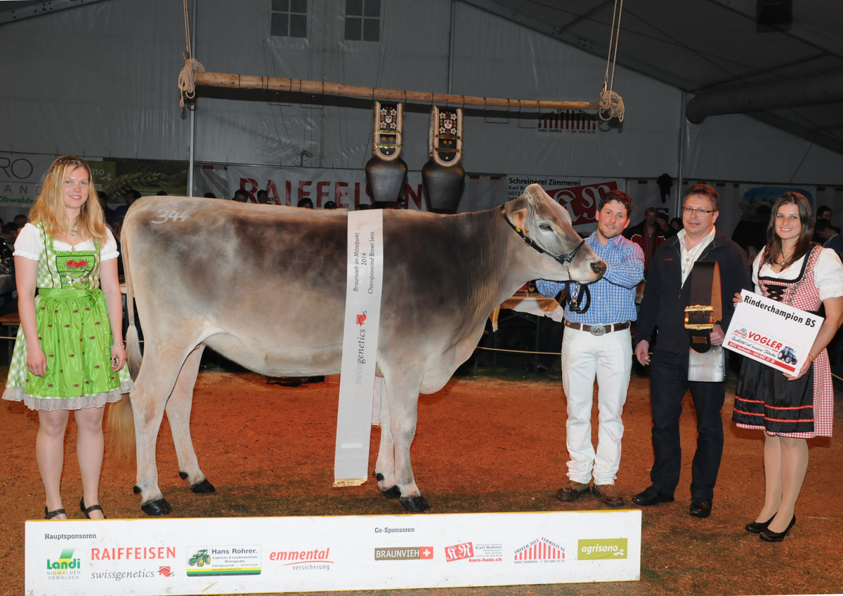 Rinder Champion BV Kat. Nr.  von Sigrist Daniel Kerns 344DSC 7125
