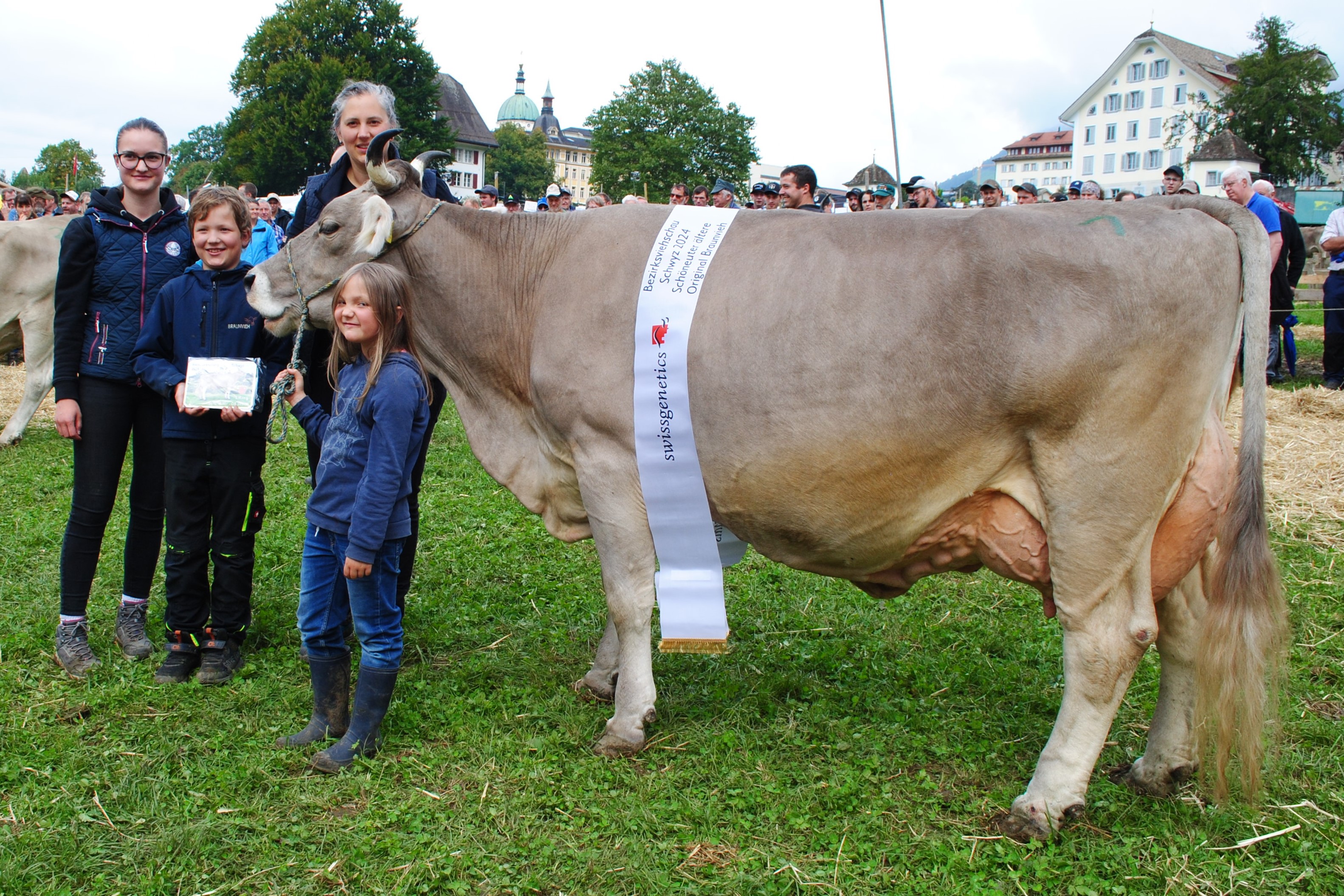 Bezirksviehschau Schwyz 2024