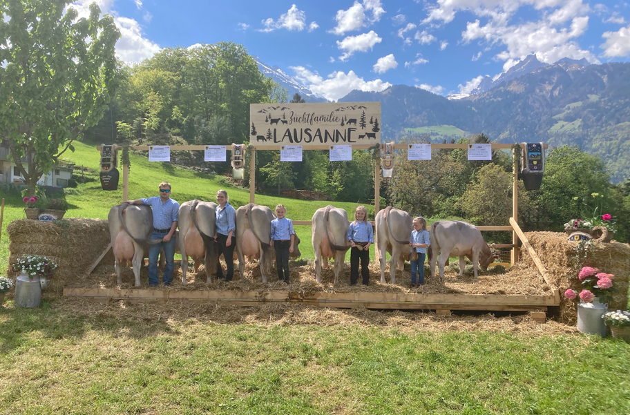 Zuchtfamilie Uri 2025