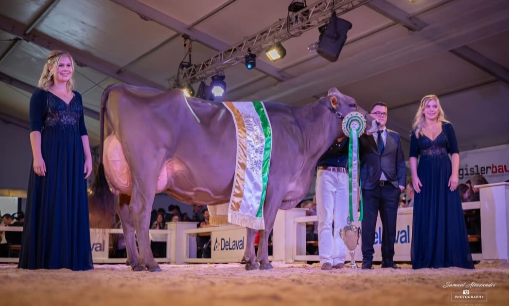 1. Zentralschweizer Braunviehschau 07.02.2026