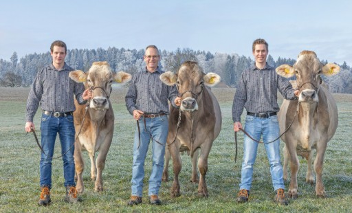 Drei 100000er-Kühe bei Familie Amrein in Gunzwil LU