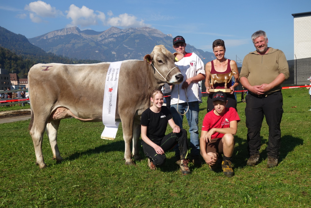 Viehschau Sarnen 07.10.2022
