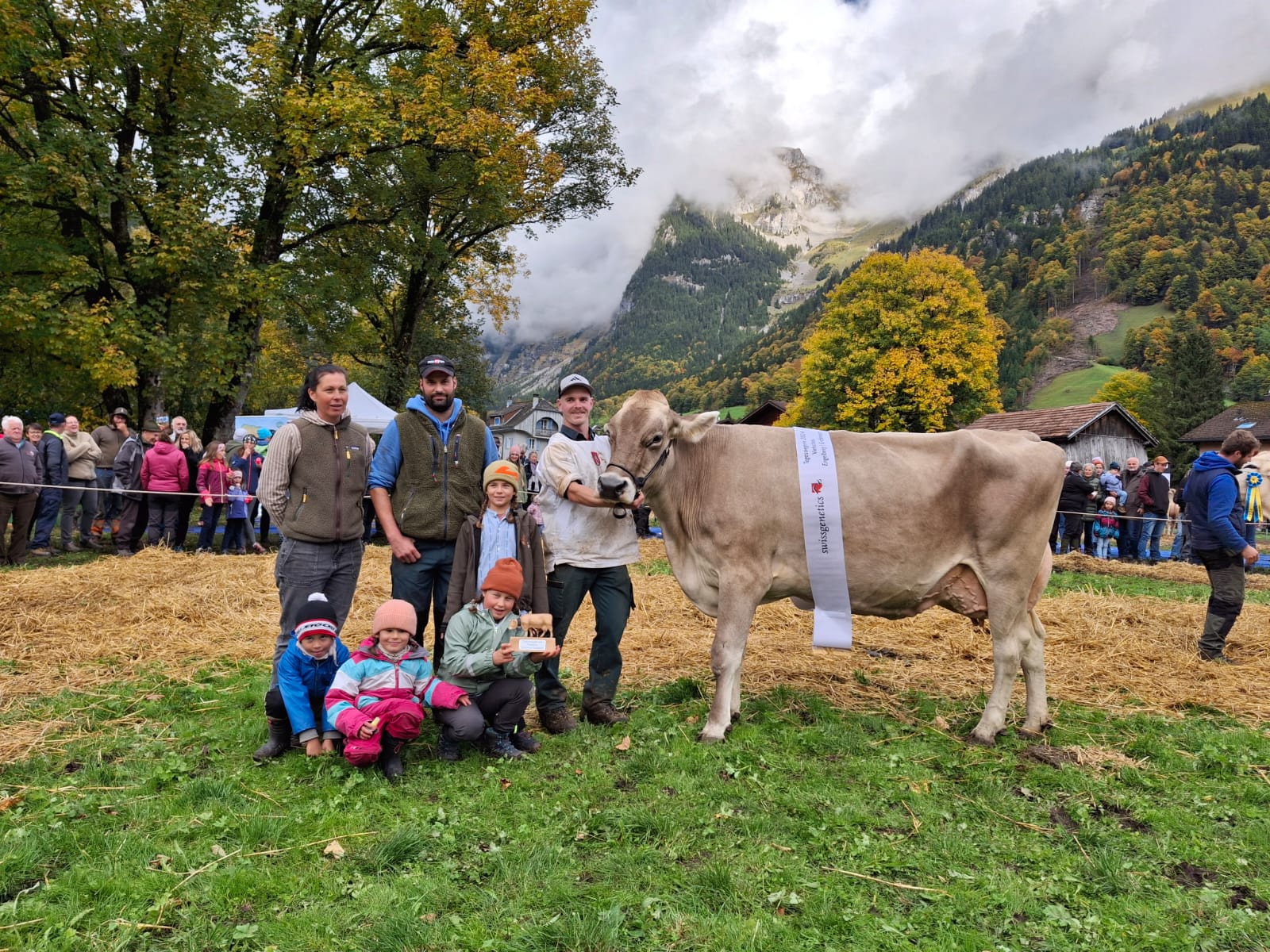 Viehschau Engelberg-Grafenort 2024