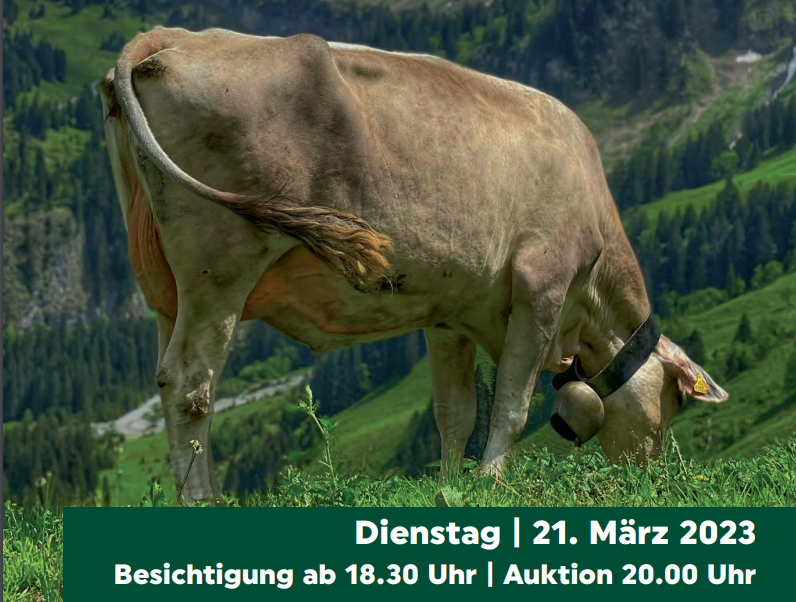 Katalog Lucerne Expo 2021