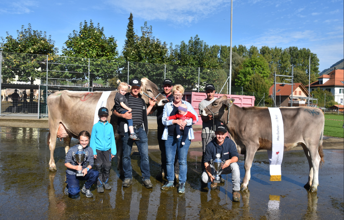 Braunviehvereinsschau Escholzmatt 2023
