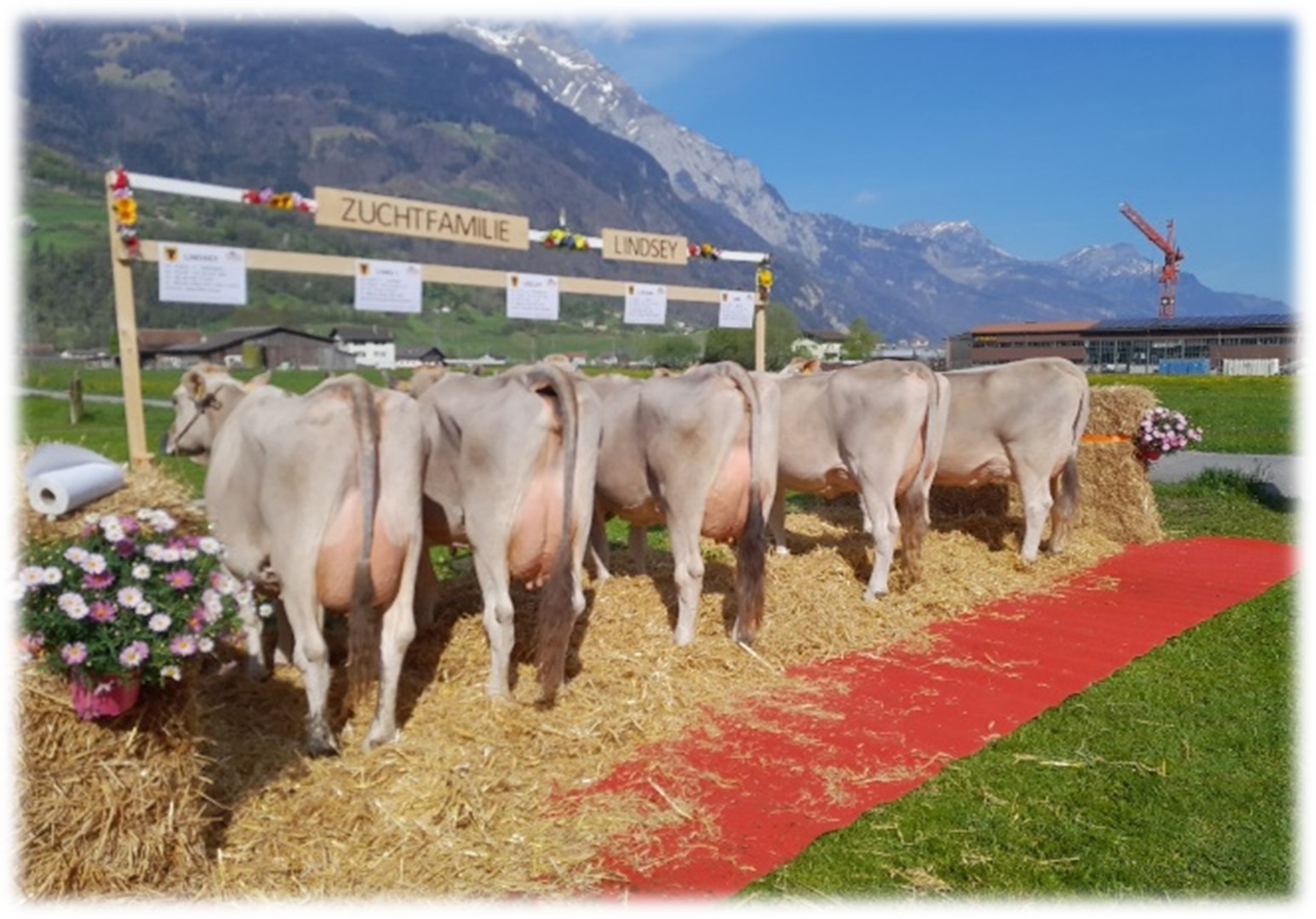 Rückblick Zuchtfamilienschauen Uri