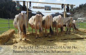 Stadelmann