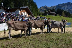 Betriebs-cup-zgraggen-2