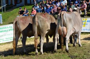 Betriebs-cup-zgraggen-3