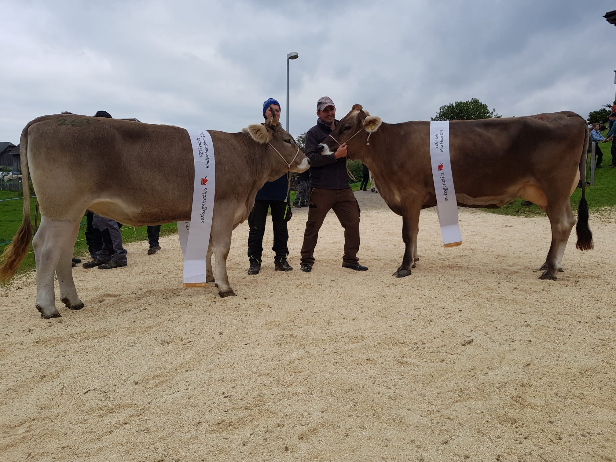 Gemeindeviehschau Hasle 2021