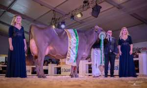 screenshot 2026 02 08