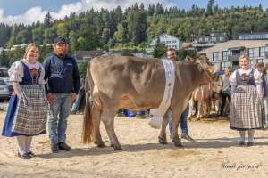 champion ob anakin anena ch20.1582.2340.2 portmann roos fabian  