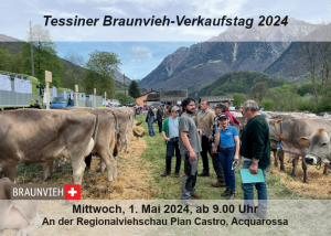 screenshot 2024 03 14