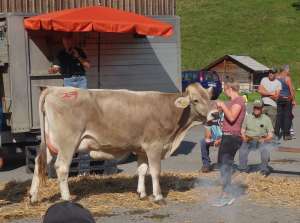 rocki rundi von reinhard martin kerns