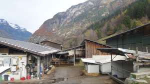 800m.ue.m. 40haha weide