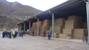 auch hier gibt es keine heustoecke