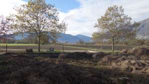 flaeche 150 ha 10 ha weizen ha weide