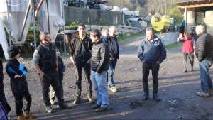 links fam. mattli und uebersetzer ambrosini nicola