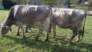 nr.3 v boeing 4.lakt. 96p.nr.6 v edgard6.l.p.