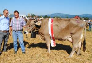 galgenen miss ob pirat hensa urs reichmuth altendorf